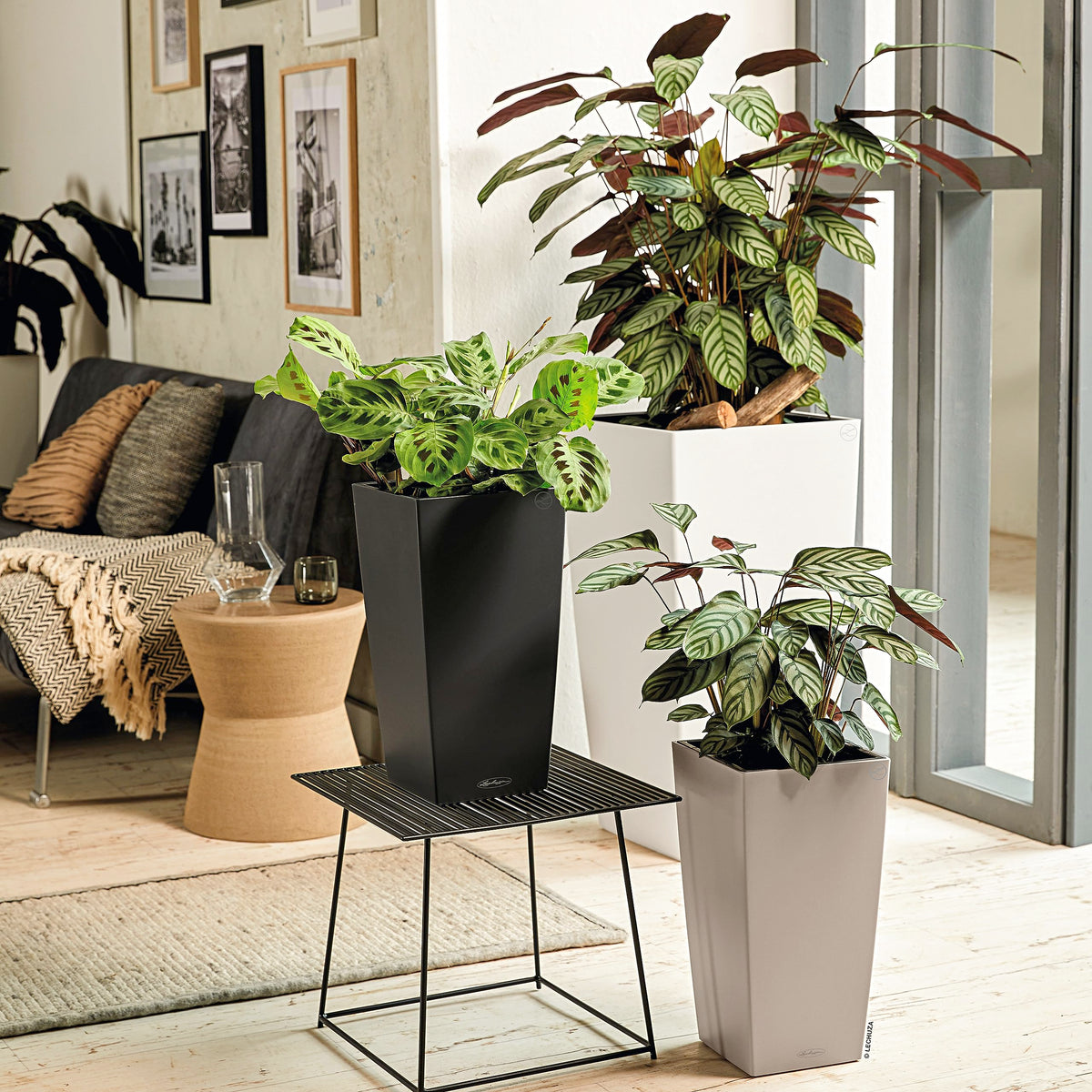 Lechuza 13138 Cubico Color 30 Self-Watering Planter for Indoor and Outdoor Use, 12" x 12" x 22", Slate