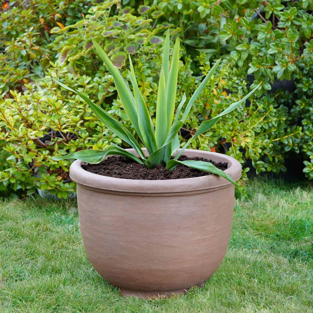 Crescent Garden Agave Planter, Classic Lightweight Resin Planter - UV-Resistant Flower Pots - Indoor & Outdoor Pot for Flowers, Houseplant, Herbs, 21" W x 17" H (Rust)