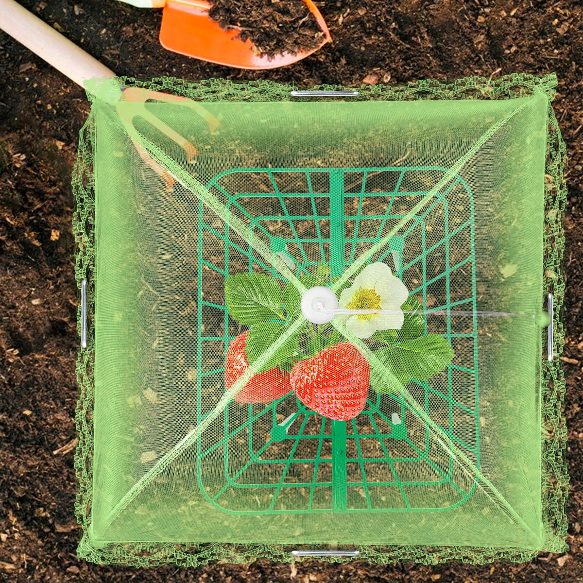 NODMIPNS 4 Sets Strawberry Plant Support with Mesh Cover - Square Gardening Frame, Animal Barrier, Iron Stakes & Storage Bag for Healthy Strawberries, Tomatoes, Veggies (Green) (4 pcs)