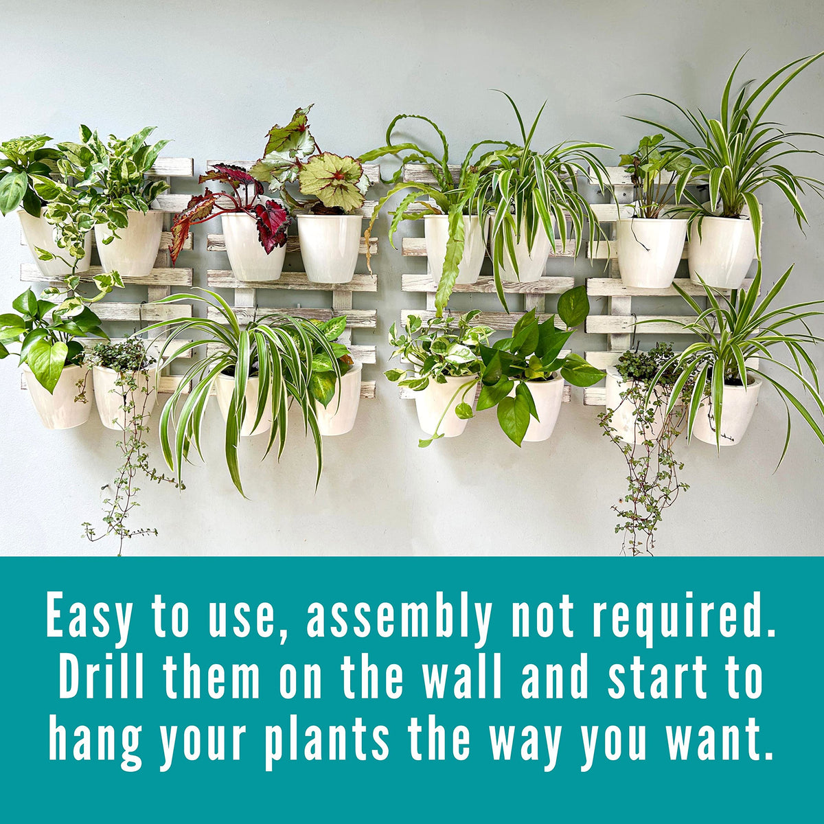 ShopLaLa Bundle- 4" x 10 Pack White Self Watering Plastic Pots + White Wooden Hanging Planters, Vertical Wall Mounted Herb Flower Garden Hydroponic Modern Pot Living Plant Sytem LaLaGreen