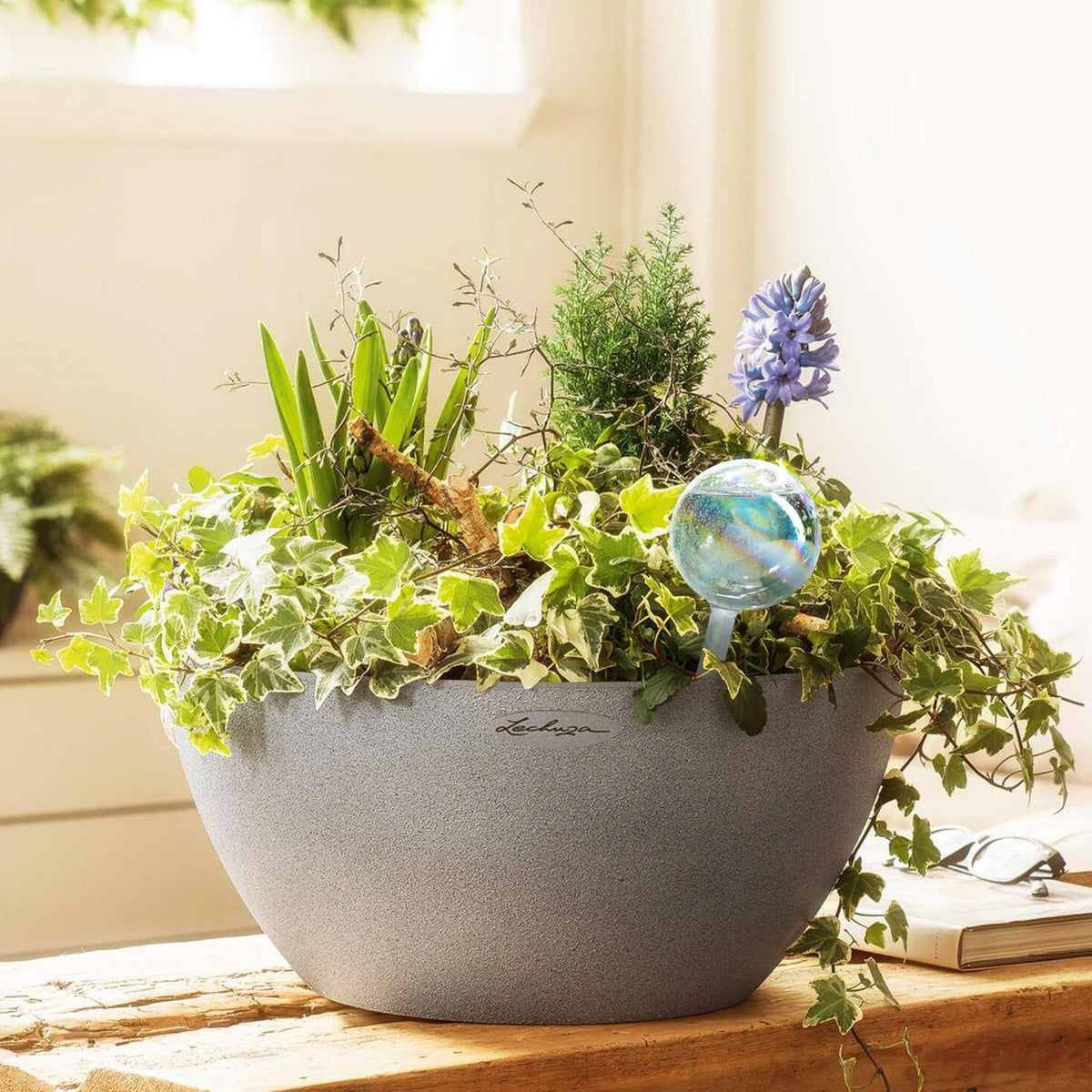 Mission Gallery Clear Plant Watering Globes Set of 2 - Small Self Watering Globes for Indoor & Outdoor Plants - Automatic Glass Watering Bulbs for Daily Use, Plant Watering Devices
