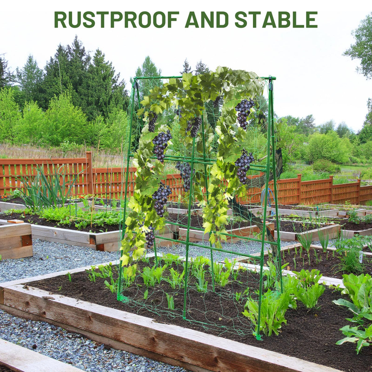 PHENEAHILL Compact A-Frame Plant Trellis for Peas, Beans & Small Climbing Plants - Rust-Resistant, Easy to Assemble, Lightweight Steel, Ideal for Raised Beds & Container Gardens(31" W x 47" H)