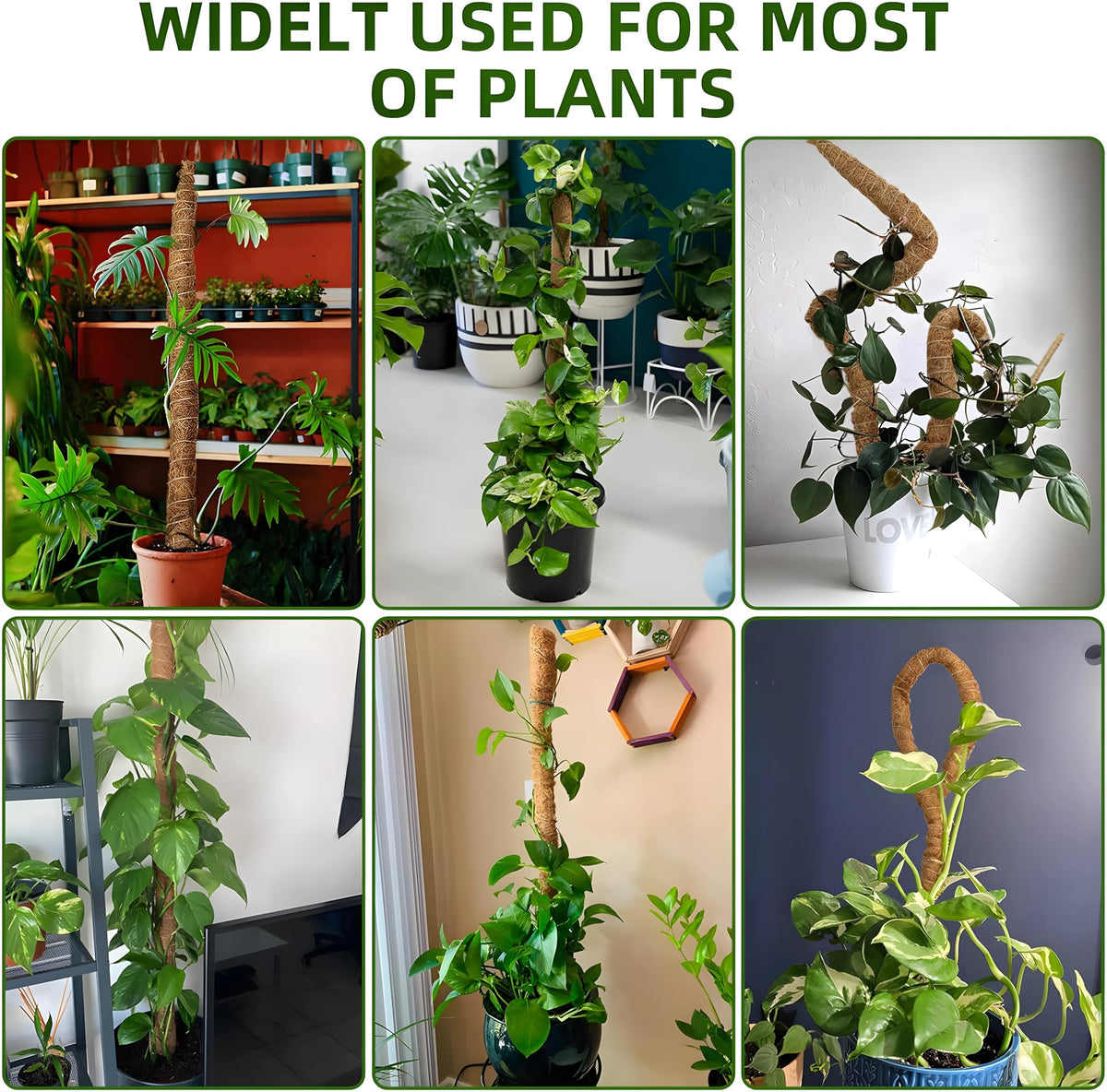 2-Pack 48'' Bendable Moss Poles for Monstera & Climbing Plants – Flexible Trellis Plant Support Stakes with Accessories – Indoor & Outdoor Use