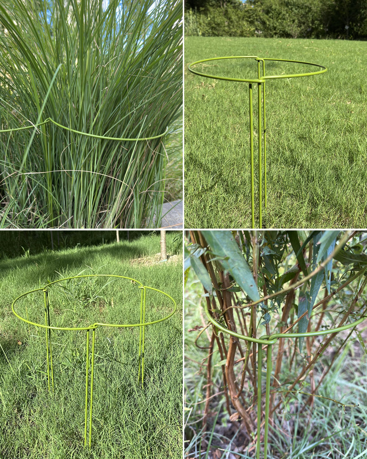 YEOAUM 6-Pack Plant Support Stakes, Steel Stakes for Indoor Plants, Monstera & Peony Support, Tall Plant Sticks for Snake Plant, Climbing Vines, Metal Garden Stakes (10" W x 15.8" H)