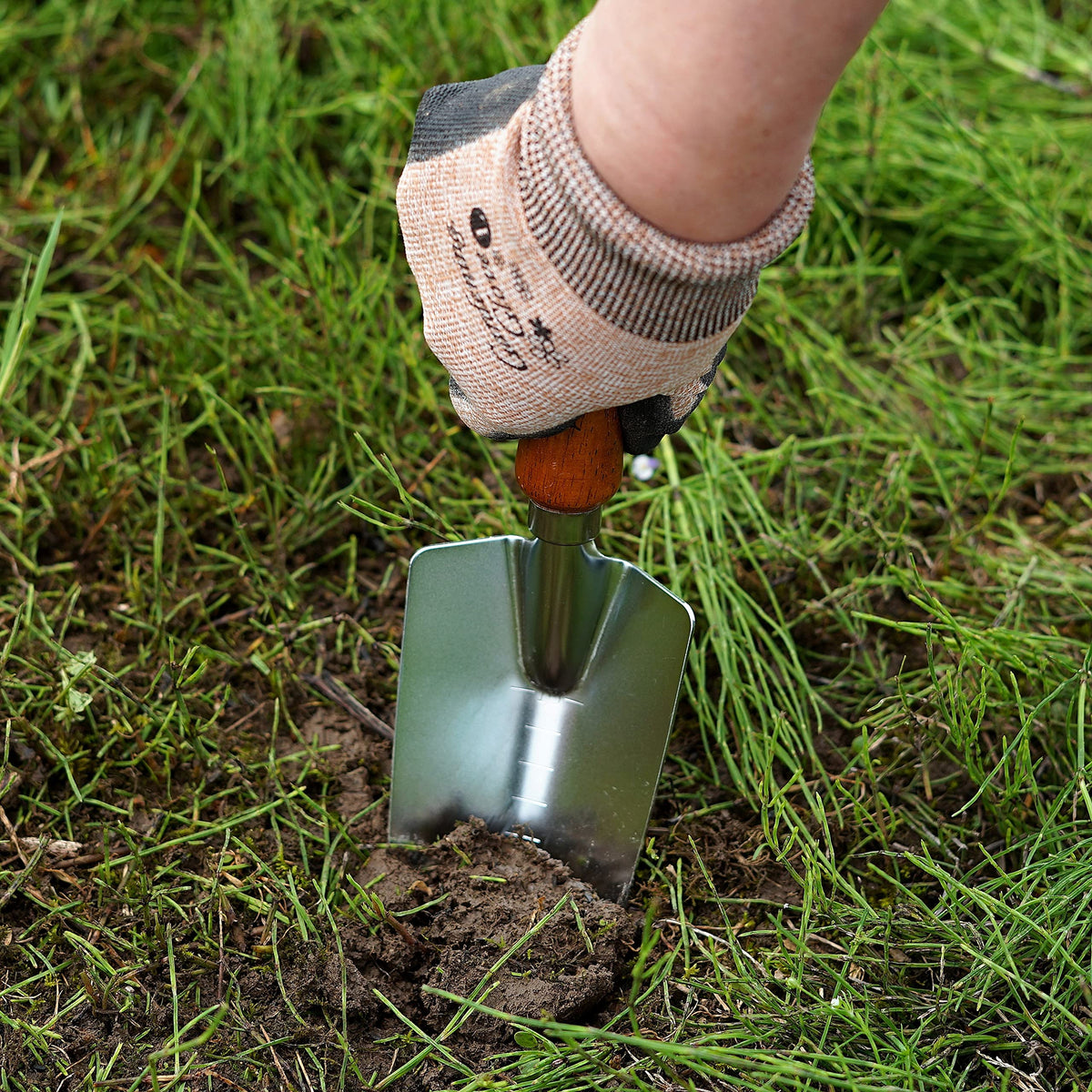 Japanese Garden Trowel Heavy Duty Japanese Steel with Wood Handle, Garden Transplanter Tool for Digging, Scooping, Transplanting, Made in Japan, Large Silver
