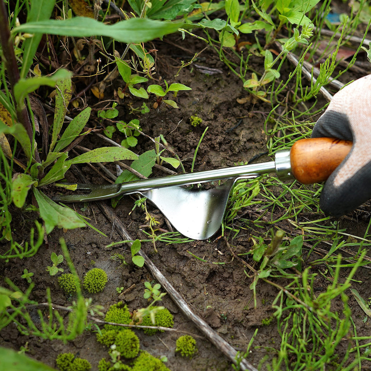 Weed Puller Heavy Duty Japanese Steel with Wood Handle, Hand Weeding Tool, Manual Weeder for Garden, Quick and Easy Weed Pull Tool, Made in Japan, Silver
