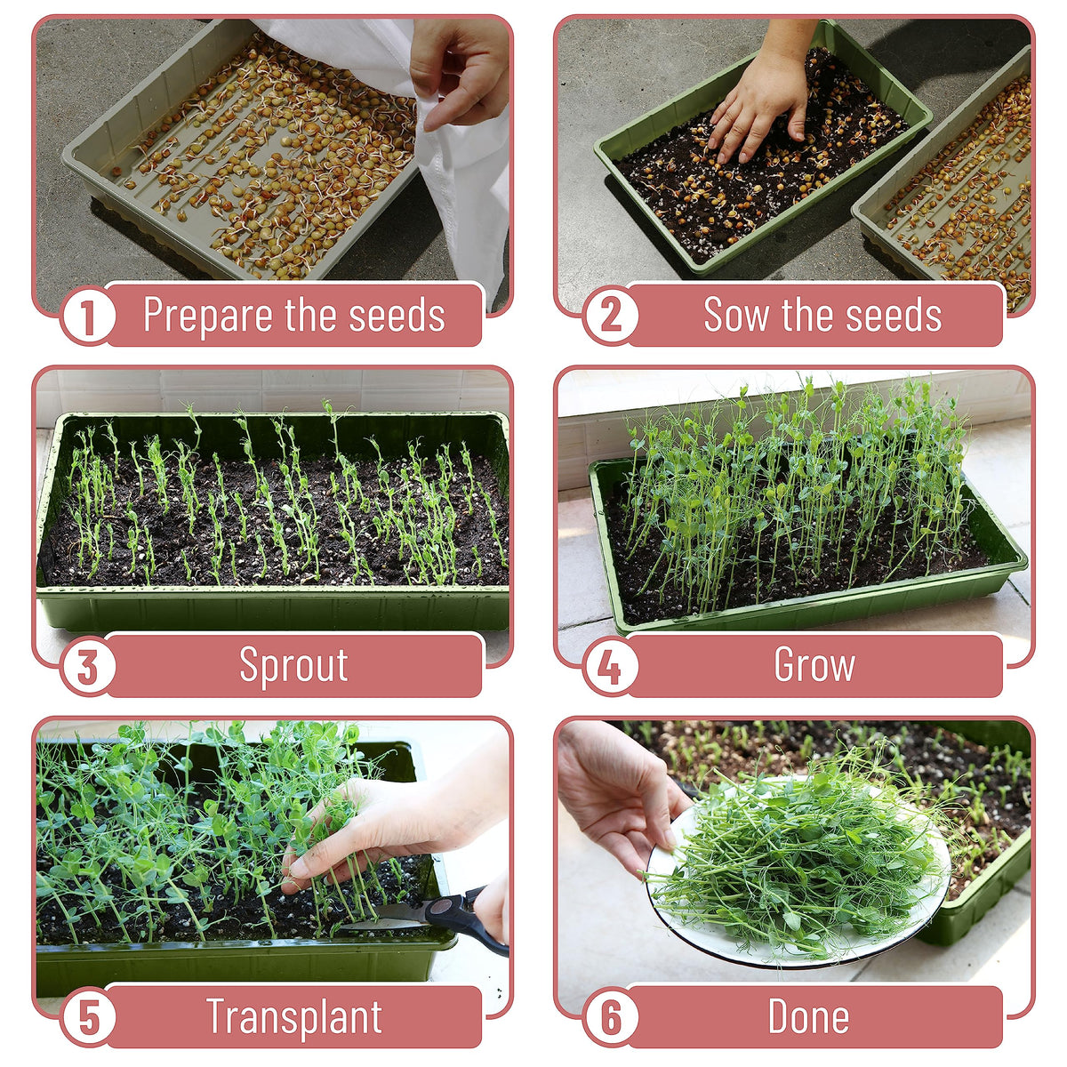 Mr. Pen- Seed Starter Trays, 10 Pack, 17"x10"x2.4", Durable Plastic Growing Trays, Stackable and Reusable Seedling Starter Kits for Indoor, Outdoor, Greenhouse Gardening, Planting, Hydroponic Systems